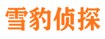 龙亭市侦探公司